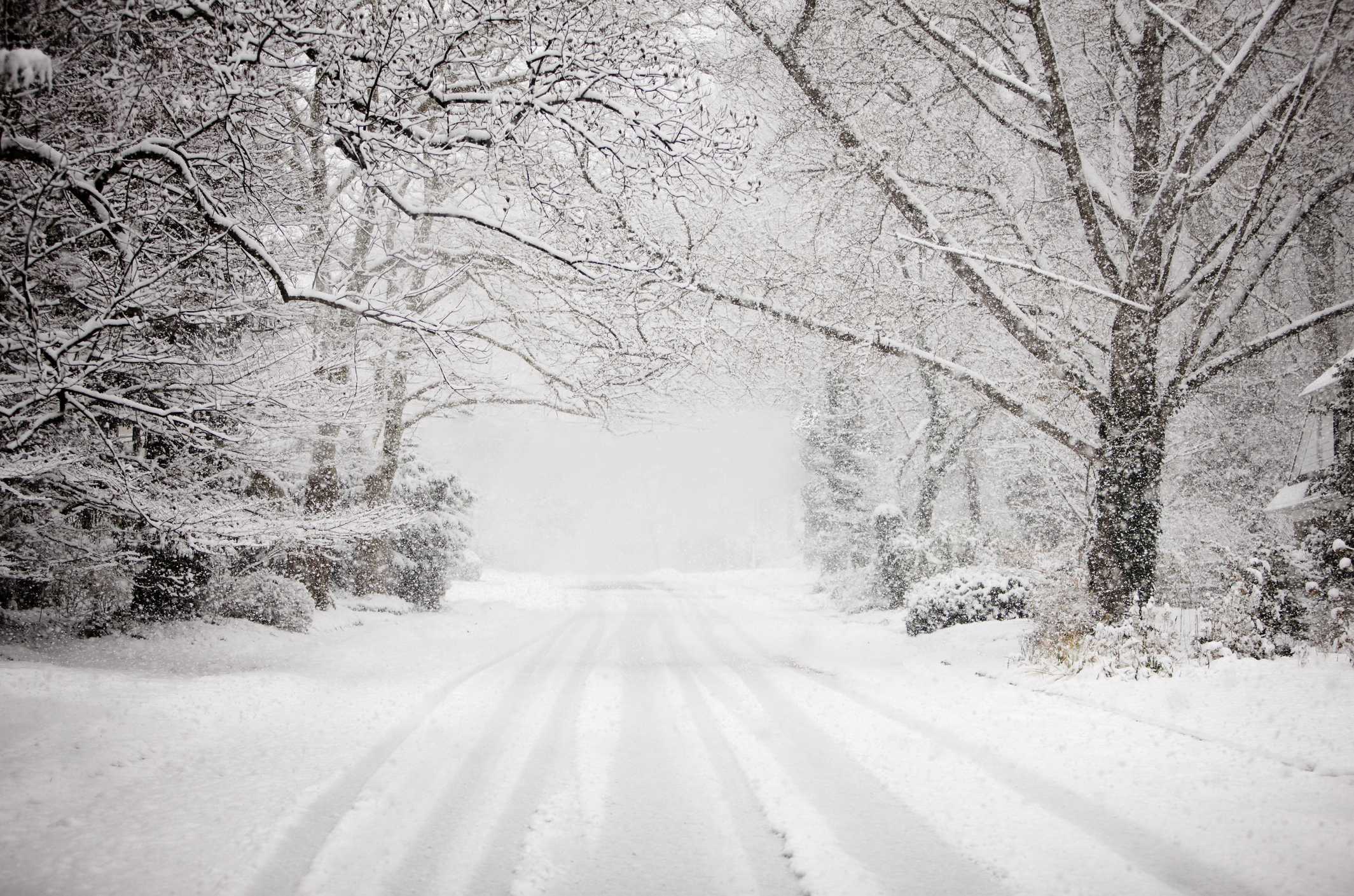 Snowstorm. Снегопад рисунок. Снегопад скорость. Метель в Ставрополе. Снег РТ ша.