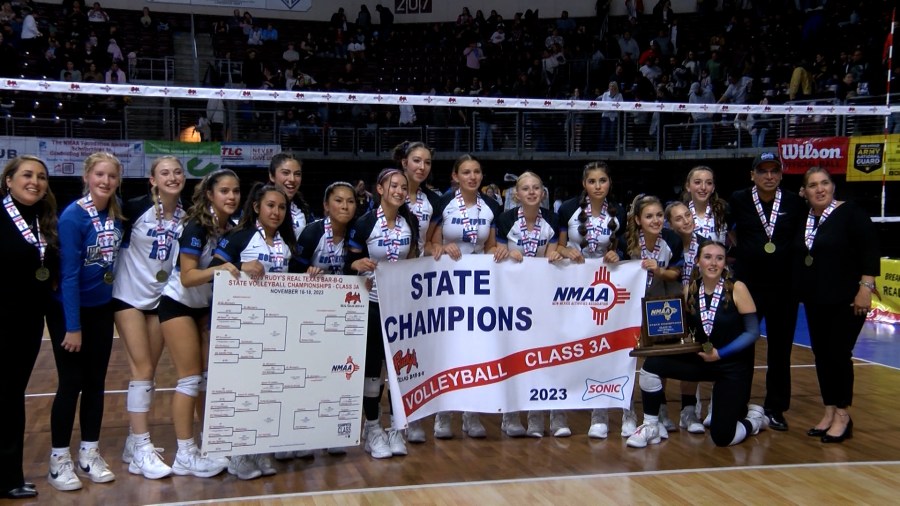 State Volleyball Champions Crowned On Saturday