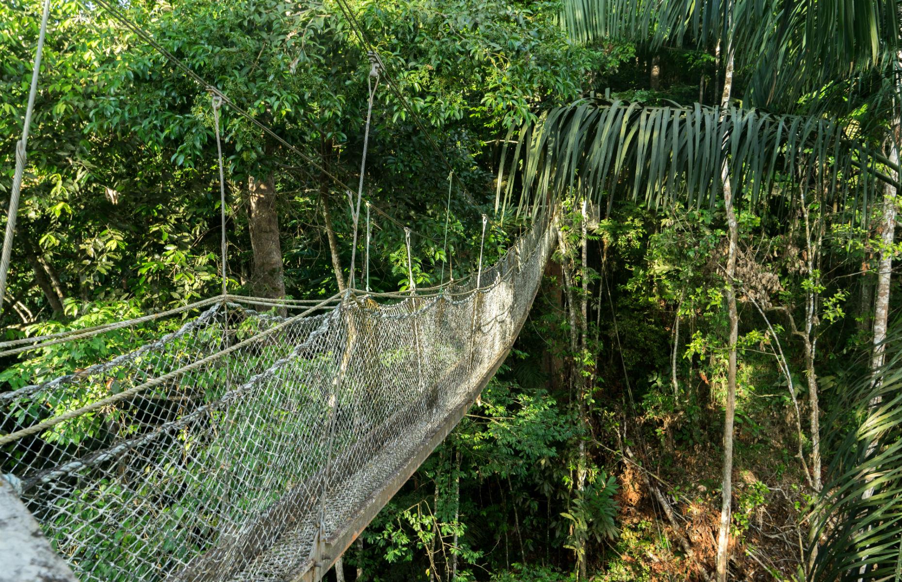 <p>It might be one to miss if you’re scared of heights, but the Canopy Walkway buried deep within Guyana’s most remote rainforest, the Iwokrama Rainforest, is more than worth a walk for wildlife lovers. Perched a hundred feet above the forest floor, you’ll be able to hear and spot rare birds, howler monkeys, and even the odd reptile.</p>