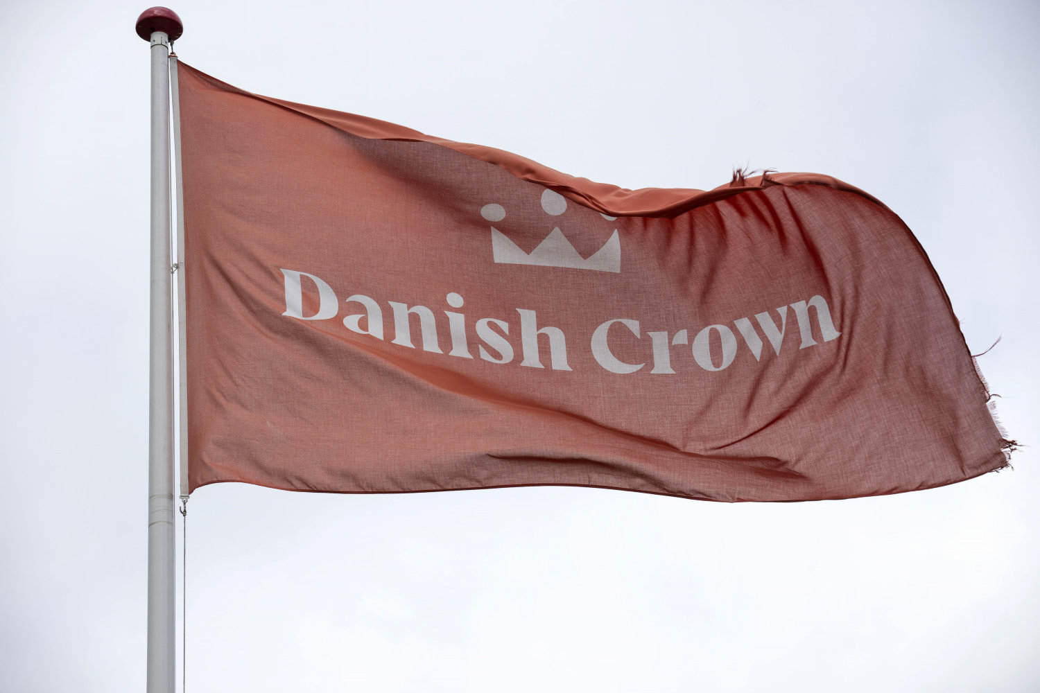 danish crown afviser at markedsføring af klimakontrollerede grise er fup