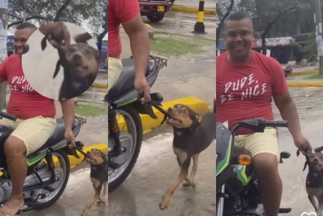 indignante video: un hombre arrastra a su perro mientras conduce una motocicleta