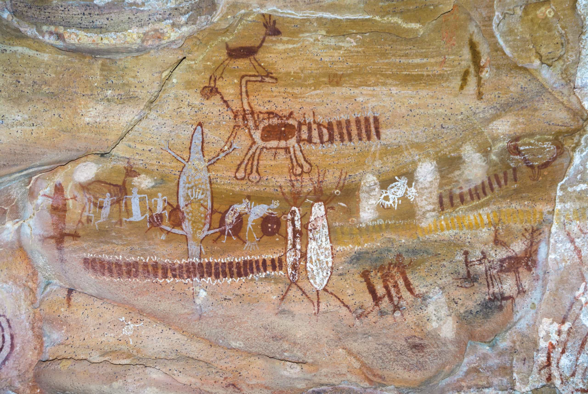 <p>Location: Piauí<br>Criteria: Cultural <br>Year established: 1991<br>Description: The park has the largest and the oldest concentration of prehistoric sites in the Americas. A number of rock shelters found in the area are illustrated with extraordinary examples of cave art and littered with stone tools and other ancient artifacts.</p><p>You may also like:<a href="https://www.starsinsider.com/n/435553?utm_source=msn.com&utm_medium=display&utm_campaign=referral_description&utm_content=413555v12en-us"> Things you think cause cancer (but actually don't) </a></p>