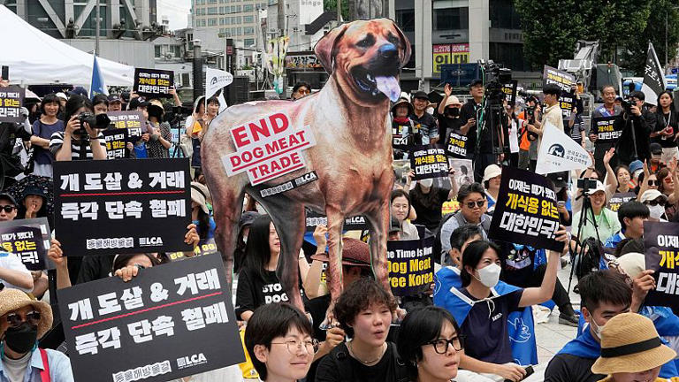 Animal rights activists stage a rally opposing South Korea's traditional culture of eating dog meat in Seoul, South Korea, 8 July 2023. AP Photo/Ahn Young-joon