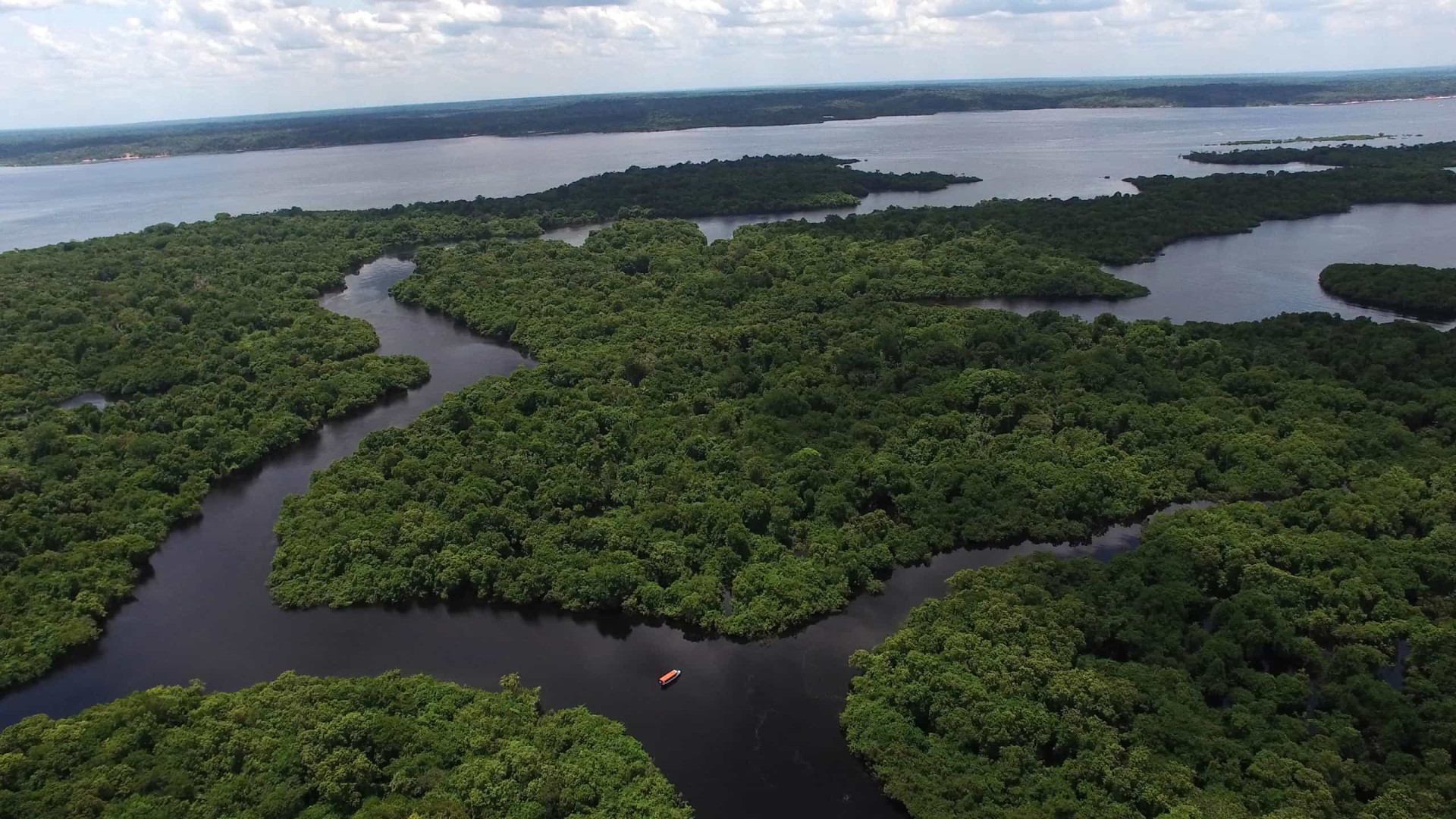 <p>Location: State of Amazonas<br>Criteria: Natural<br>Year established: 2000<br>Description: The largest protected area in the Amazon basin, the site is notable for its high biodiversity, range of habitats, and several endangered species.</p><p><a href="https://www.msn.com/en-us/community/channel/vid-7xx8mnucu55yw63we9va2gwr7uihbxwc68fxqp25x6tg4ftibpra?cvid=94631541bc0f4f89bfd59158d696ad7e">Follow us and access great exclusive content every day</a></p>