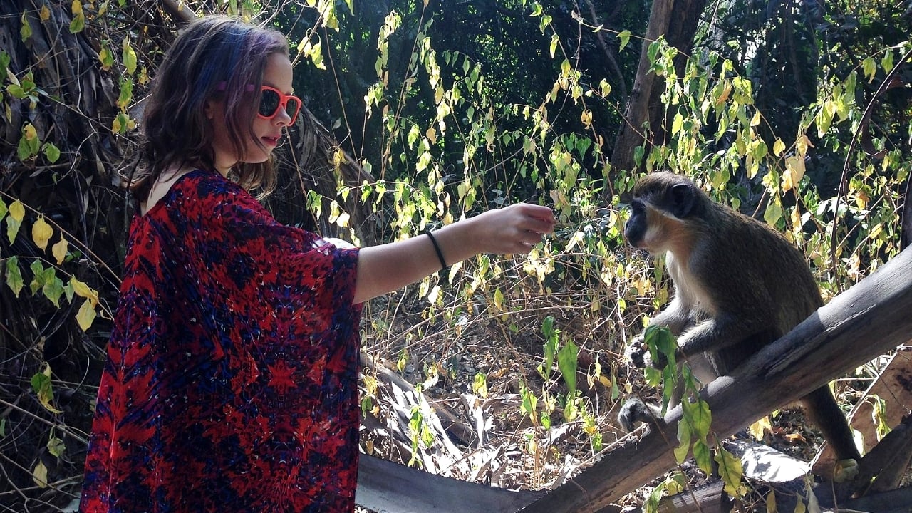 <p>In Morocco, some travelers report trained monkeys who jump on people, and their owners demand money to make it stop. Sometimes, they will use the monkeys to distract or capture your attention, sell you something else, or beg for money in exchange for them leaving</p>