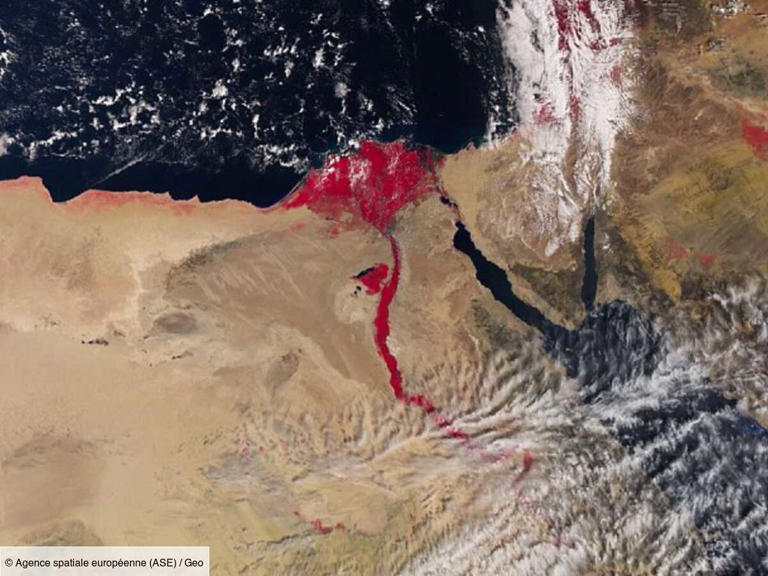 Un cliché du Nil photographié en 2016 par le satellite Sentinel 3A de l’Agence spatiale européenne.
