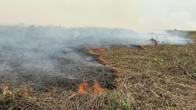 chuvas apagam incêndios no pantanal