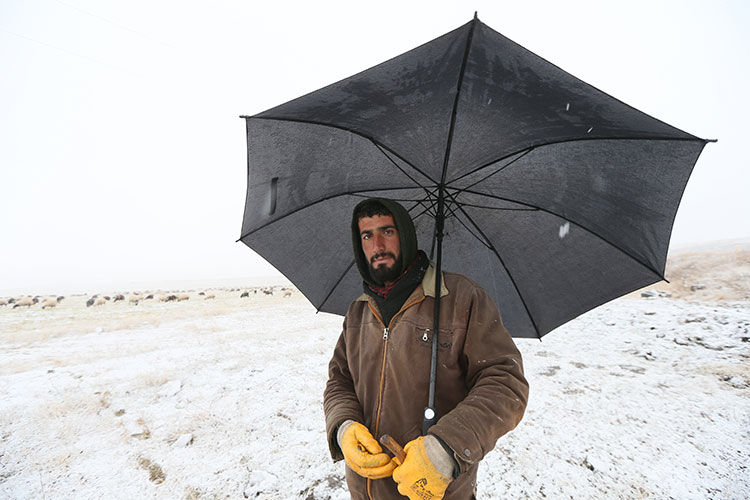 kars'ta göçerlerin binlerce hayvanla kar yağışı altında zorlu yolculuğu başladı