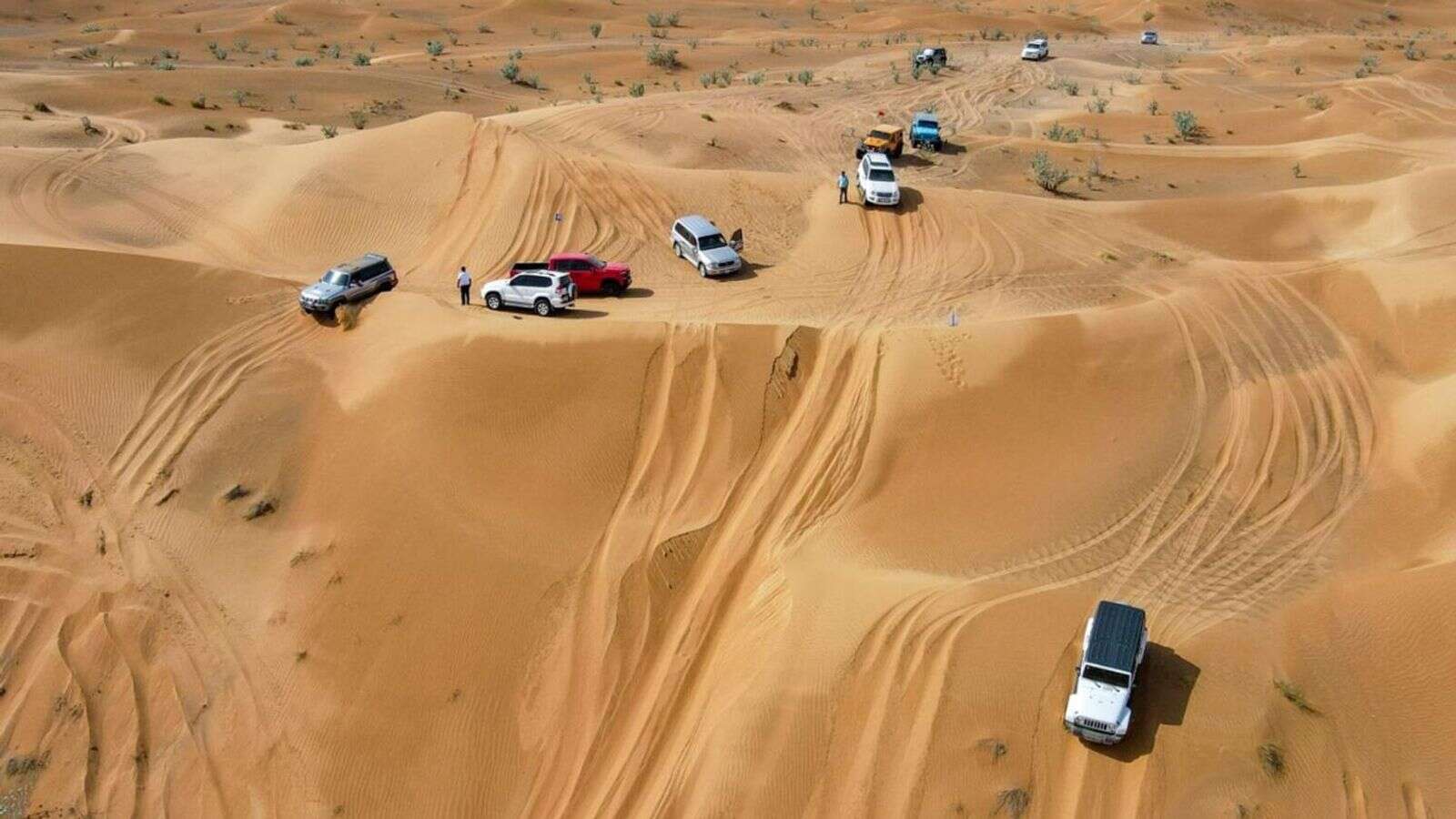 how to, off-roading in uae: how to avoid dh2,000 fine, 60 days in jail