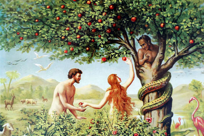 Verrassende feitjes over Adam en Eva