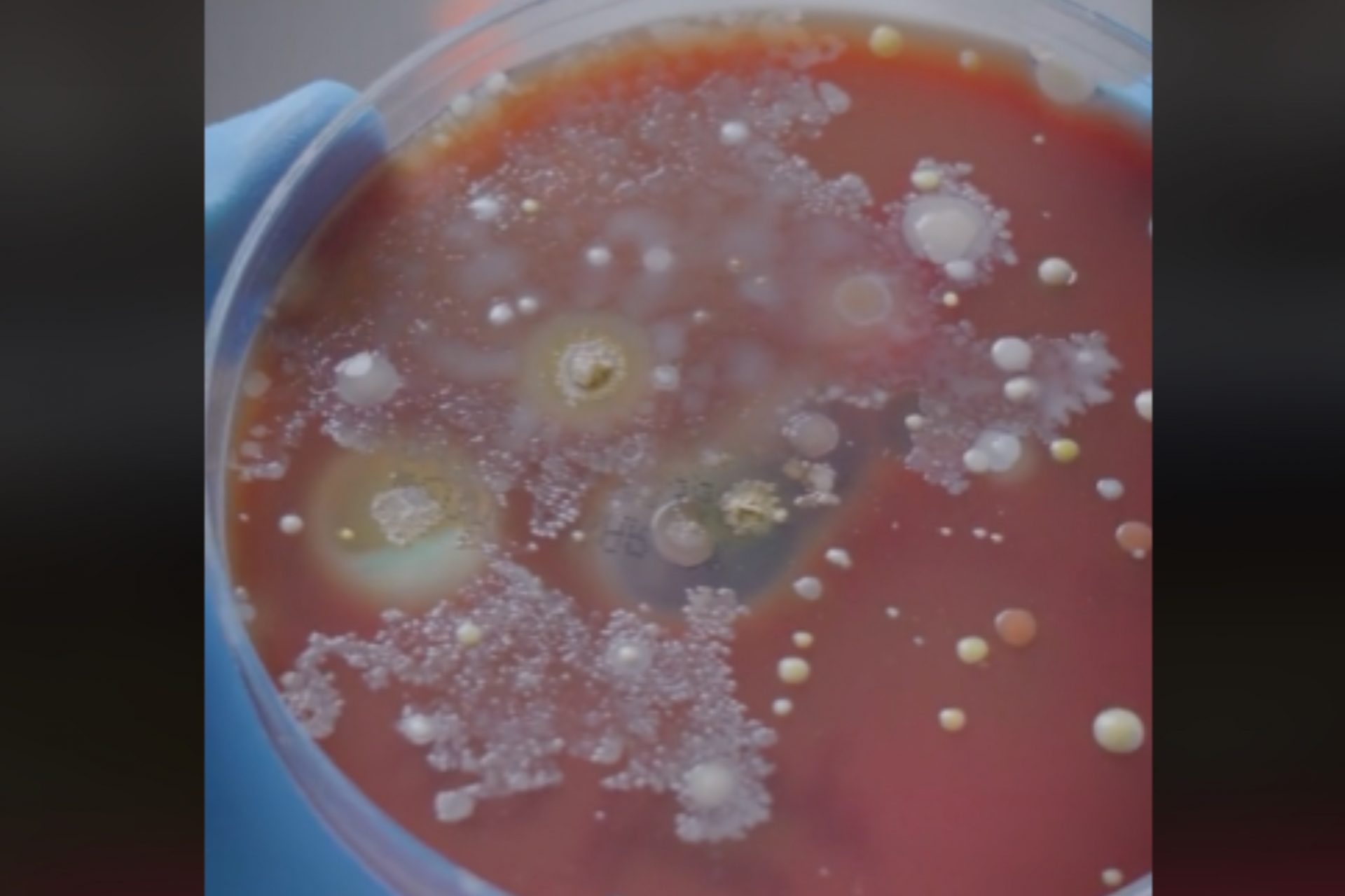 Germ spreaders or good hygiene? The dirty truth about hand dryers