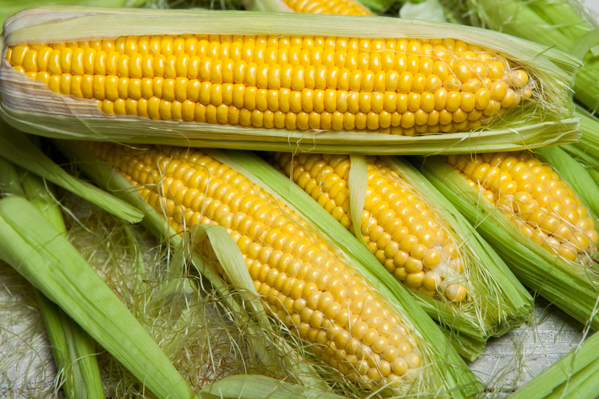 Corn note. Кукуруза свежая в початках. Corn COB. Hot Corn. Початок кукурузы фото.