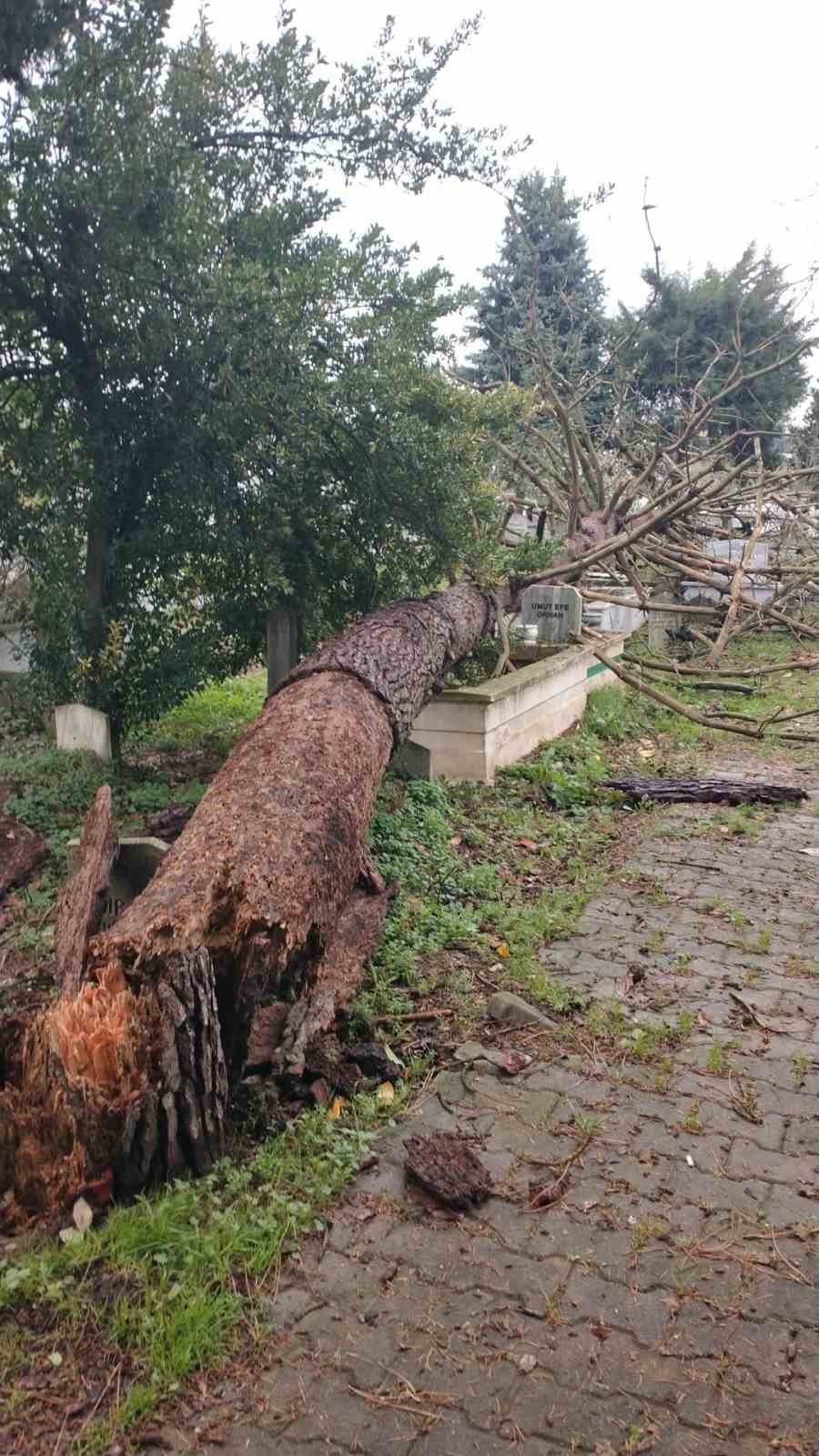 şiddetli fırtına şehir mezarlığında hasara yol açtı