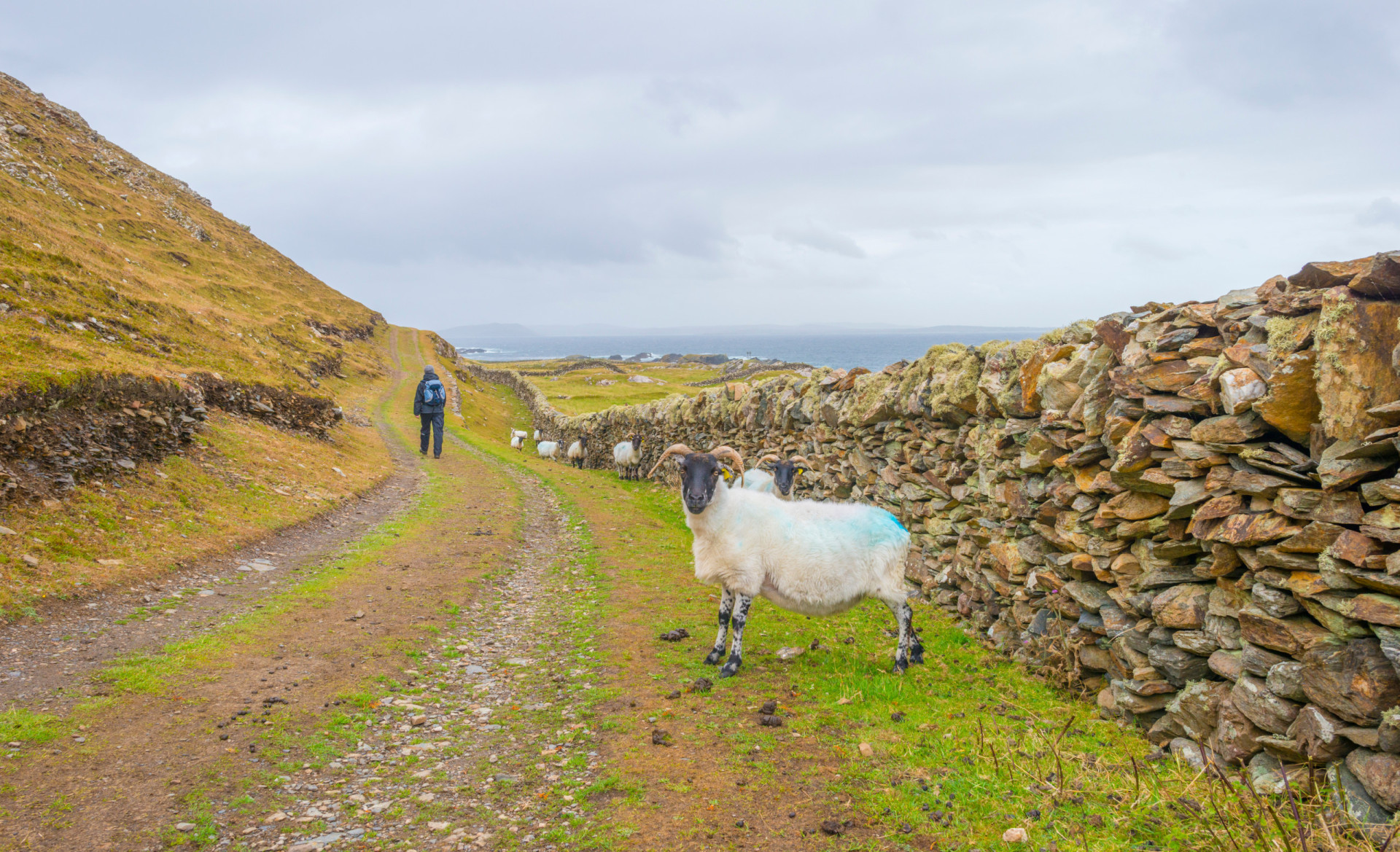<p>Legend has it a woman and a cow emerge from the lake on Inishbofin every seven years to forewarn of impending disaster. While it's unlikely any visitors will witness this, you can take one of the many looping walks where you'll probably catch a glimpse of the local sheep.</p>