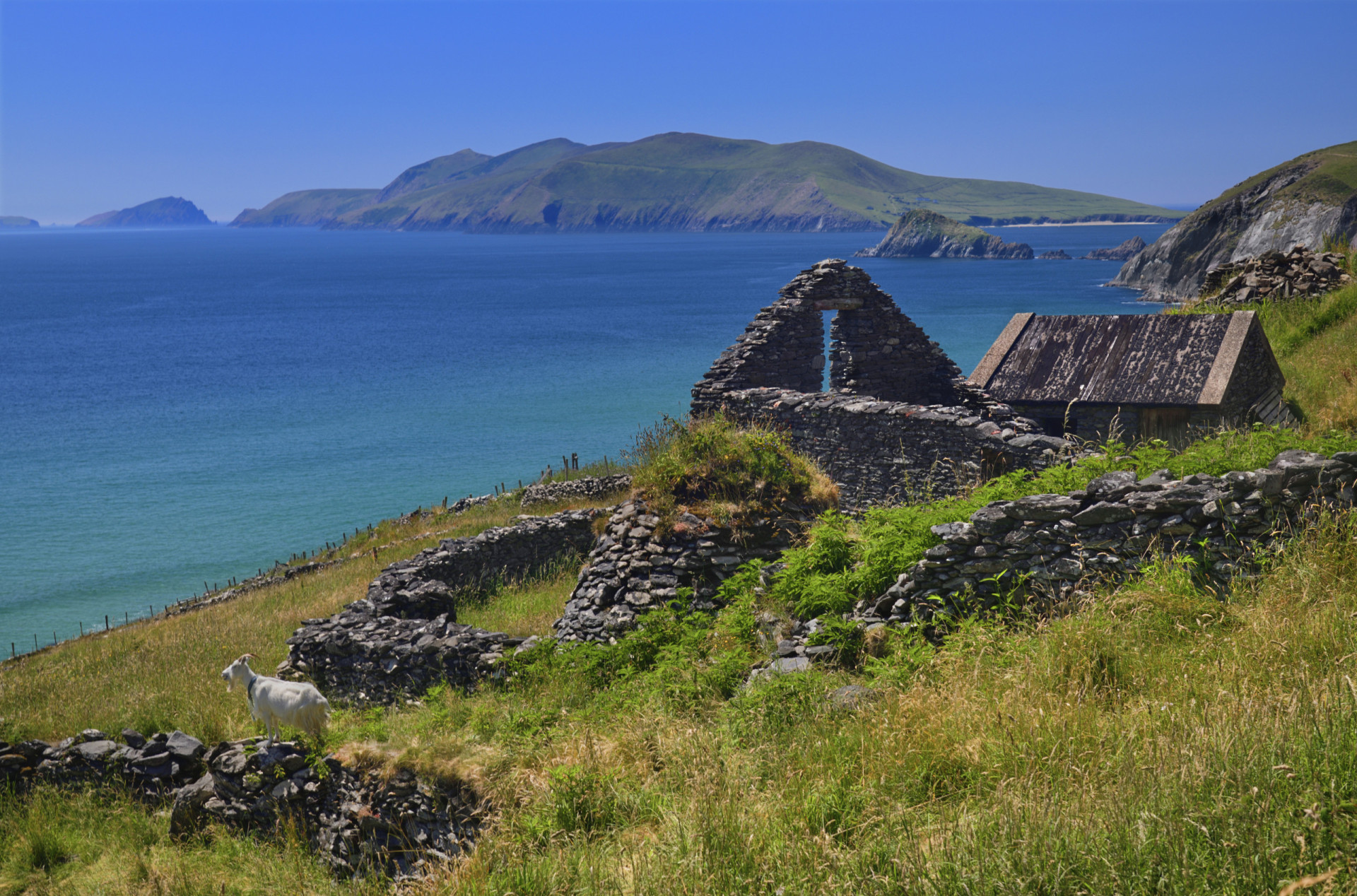 <p>An Area of Special Conservation, the islands are home to abundant wildlife and fauna. Deserted since 1953, the Irish-speaking former inhabitants produced much literature that provides a glimpse into the past and the history of the place.</p><p><a href="https://www.msn.com/en-au/community/channel/vid-7xx8mnucu55yw63we9va2gwr7uihbxwc68fxqp25x6tg4ftibpra?cvid=94631541bc0f4f89bfd59158d696ad7e">Follow us and access great exclusive content every day</a></p>