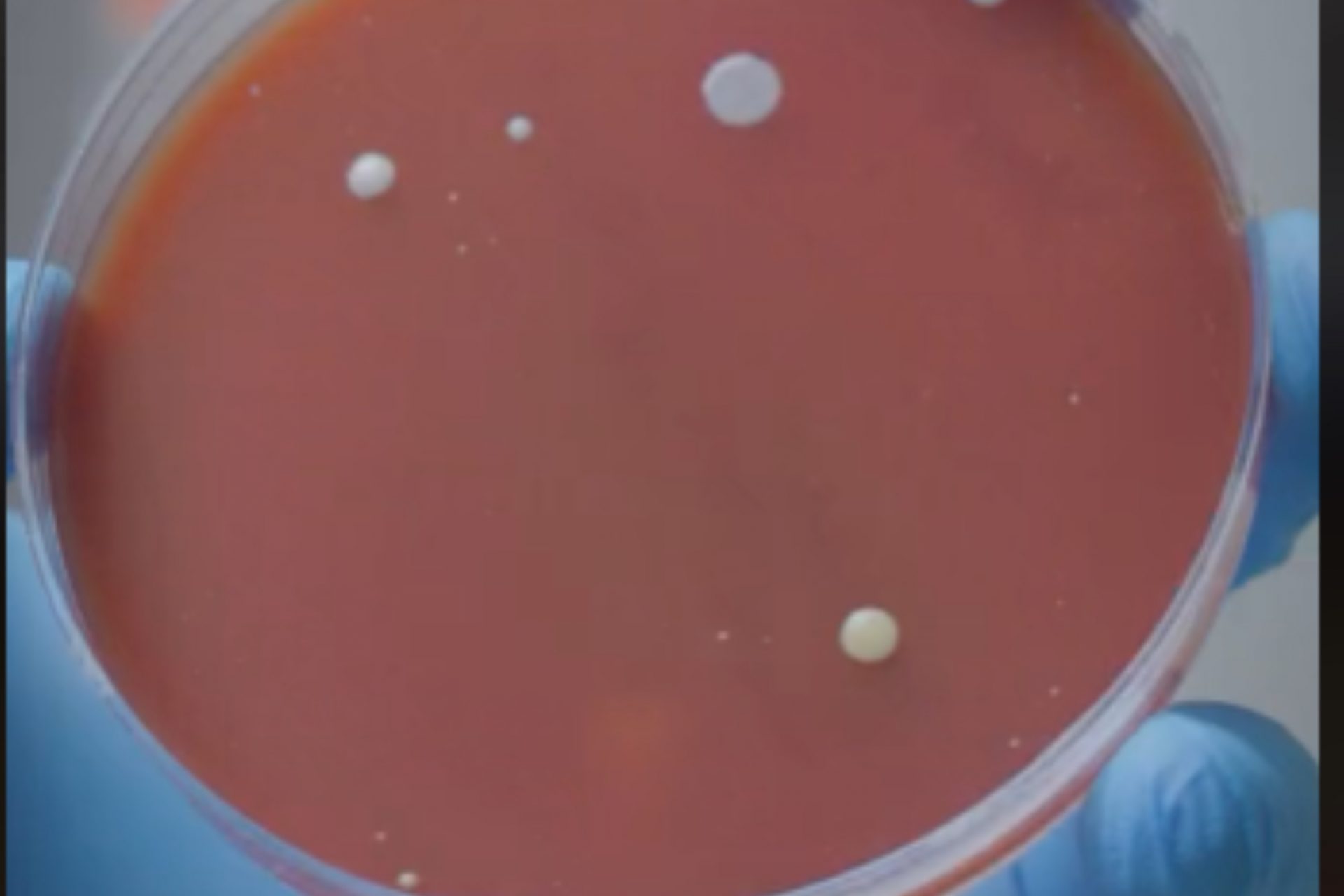 Germ spreaders or good hygiene? The dirty truth about hand dryers