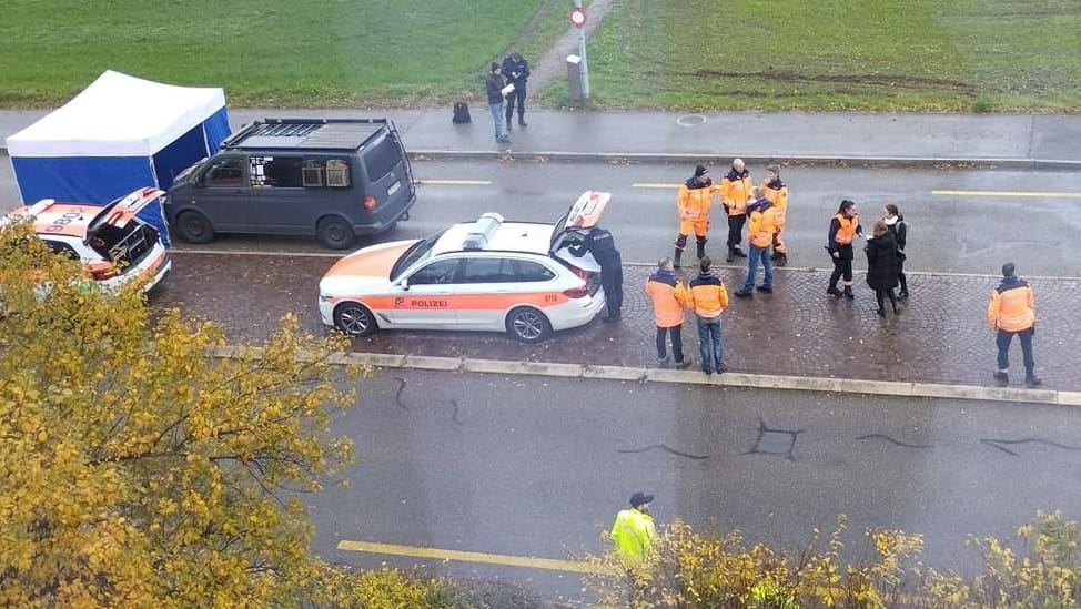 Tragischer Fussgängerunfall In Horgen ZH: Kosovare (†83) Von Auto ...