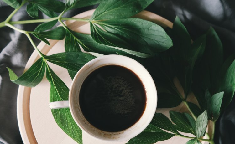 conheça 10 incríveis benefícios do café