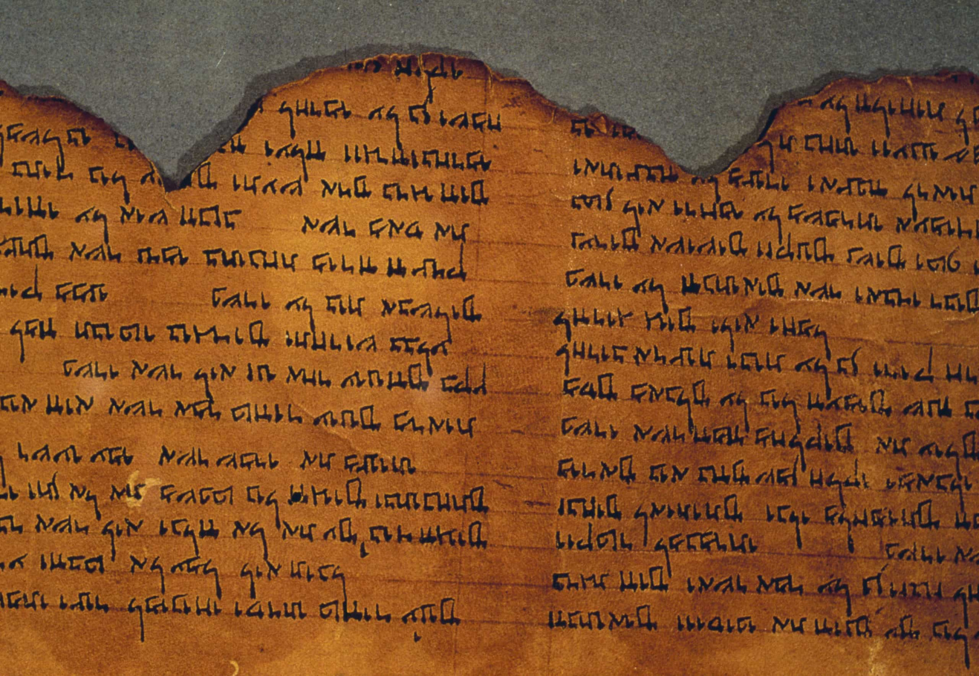 Dead sea scrolls