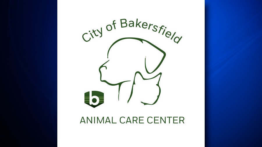 BACC Offers Free Microchips For Dogs This 4th Of July   AA1kjAF9.img