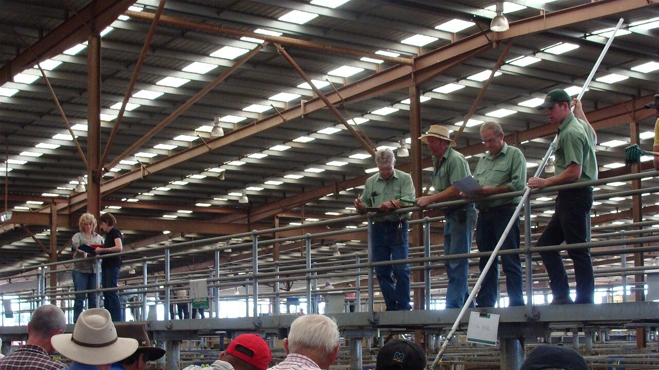 pakenham victorian livestock exchange to close next year amid soaring council rates, land taxes