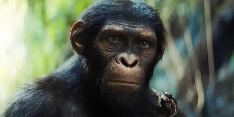 Kingdom of the Planet of the Apes Director Shares the 'Idea' Behind the Movie's Massive Time Jump