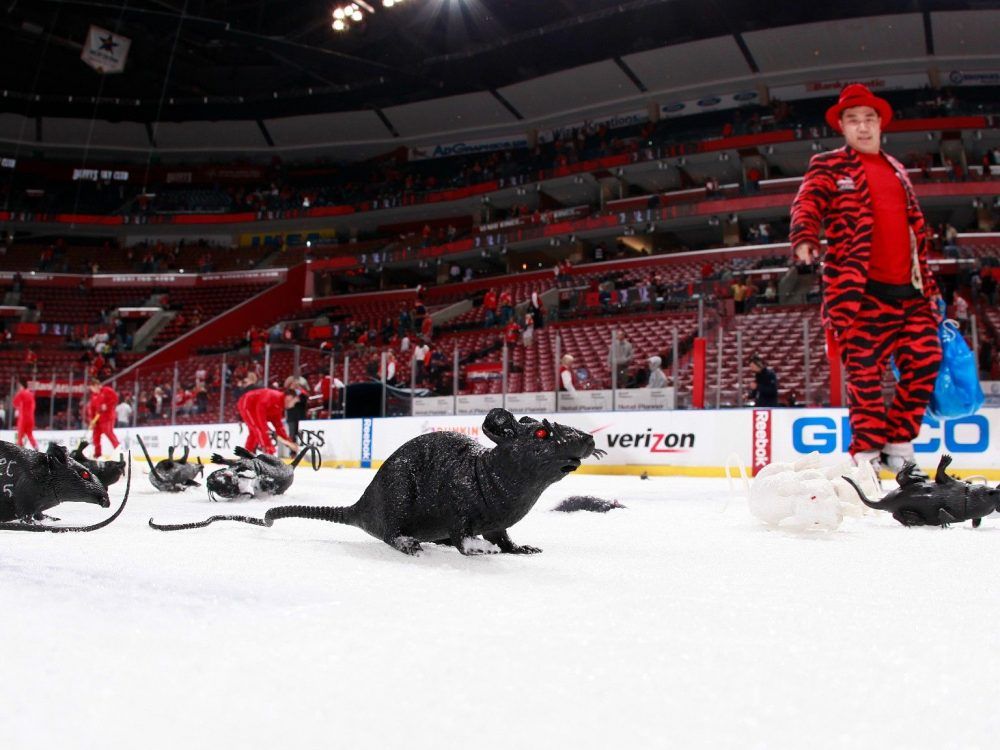 Кидали капибар на лед. Крысы на льду в НХЛ. Флорида Пантерз крысы на льду. Крыса хоккей. Осьминоги кидали на лед НХЛ.
