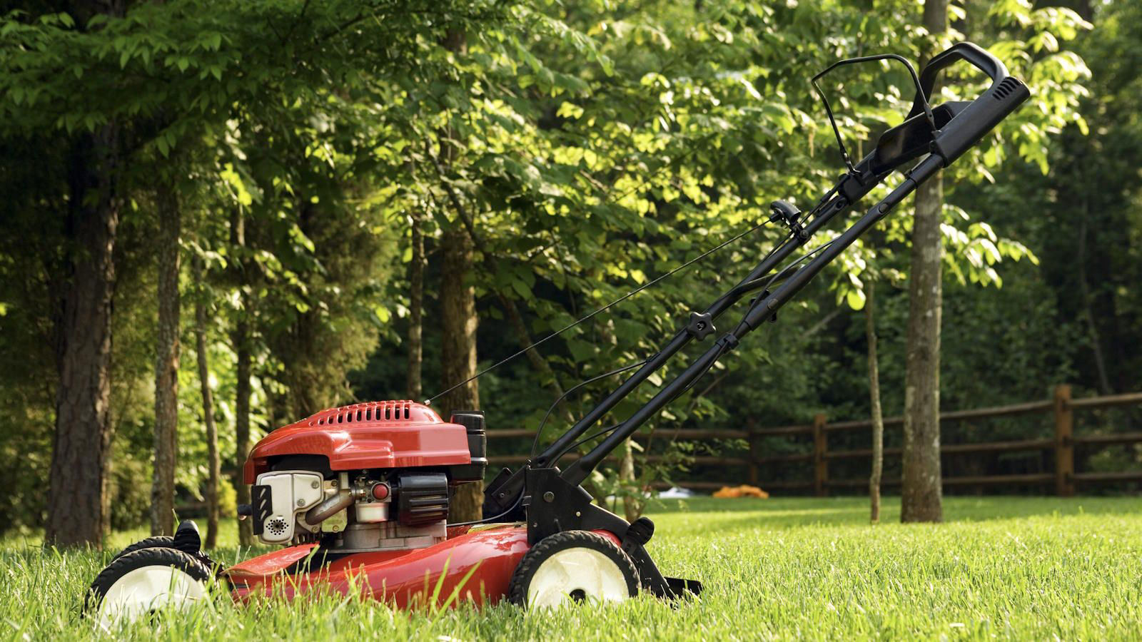 How to sharpen lawn mower blades − expert advice for safe sharpening ...