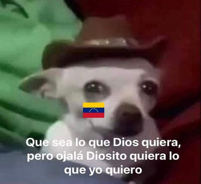 memes de la vinotinto vs. perú: revisa las imágenes más divertidas que dejó el empate de venezuela