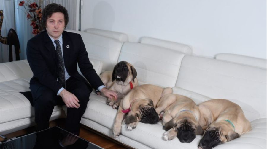 milei fue felicitado por la empresa que clonó a sus perros y nombraría a un experto en clonación para el conicet