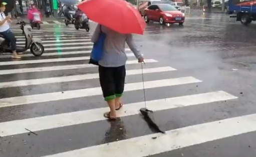 [영상]“보는 순간 두 눈 의심”…우산 쓴 중국女와 산책 나온 동물의 정체