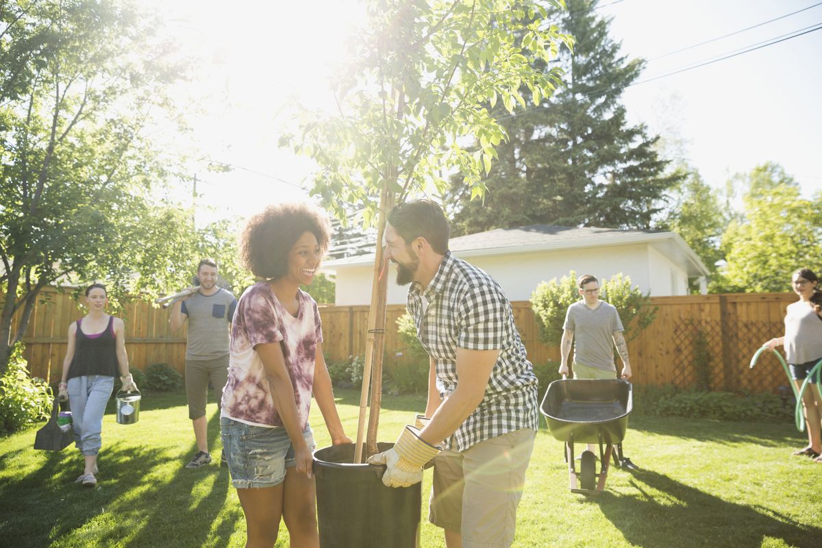 <p>Gather everyone together to plant a mix of trees, vegetables, and herbs. Then have everyone pitch in to <a href="https://www.womansday.com/home/advice/a2379/9-gardening-mistakes-to-avoid-116696/">maintain and nurture </a>your shared garden throughout the year. When your veggies are ready to pick, have a neighborhood feast.</p>