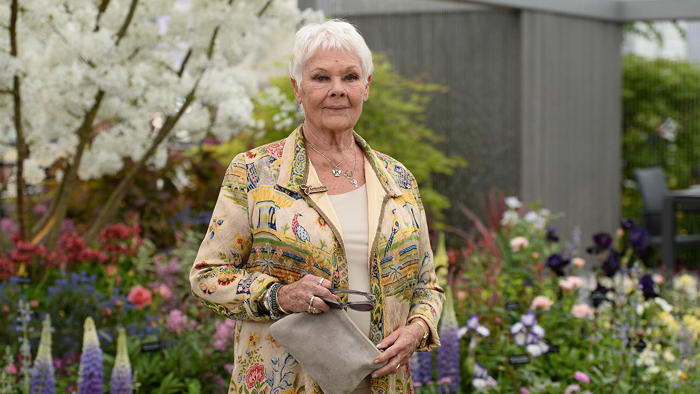 judi dench says trigger warnings ruin viewer experience: 'if you’re that sensitive, don’t go to the theater'