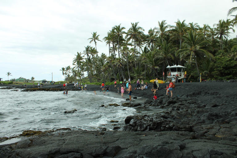 Learn about the best islands to visit in Hawaii. Pictured: A Hawaii black sand beach with a forest of palm trees