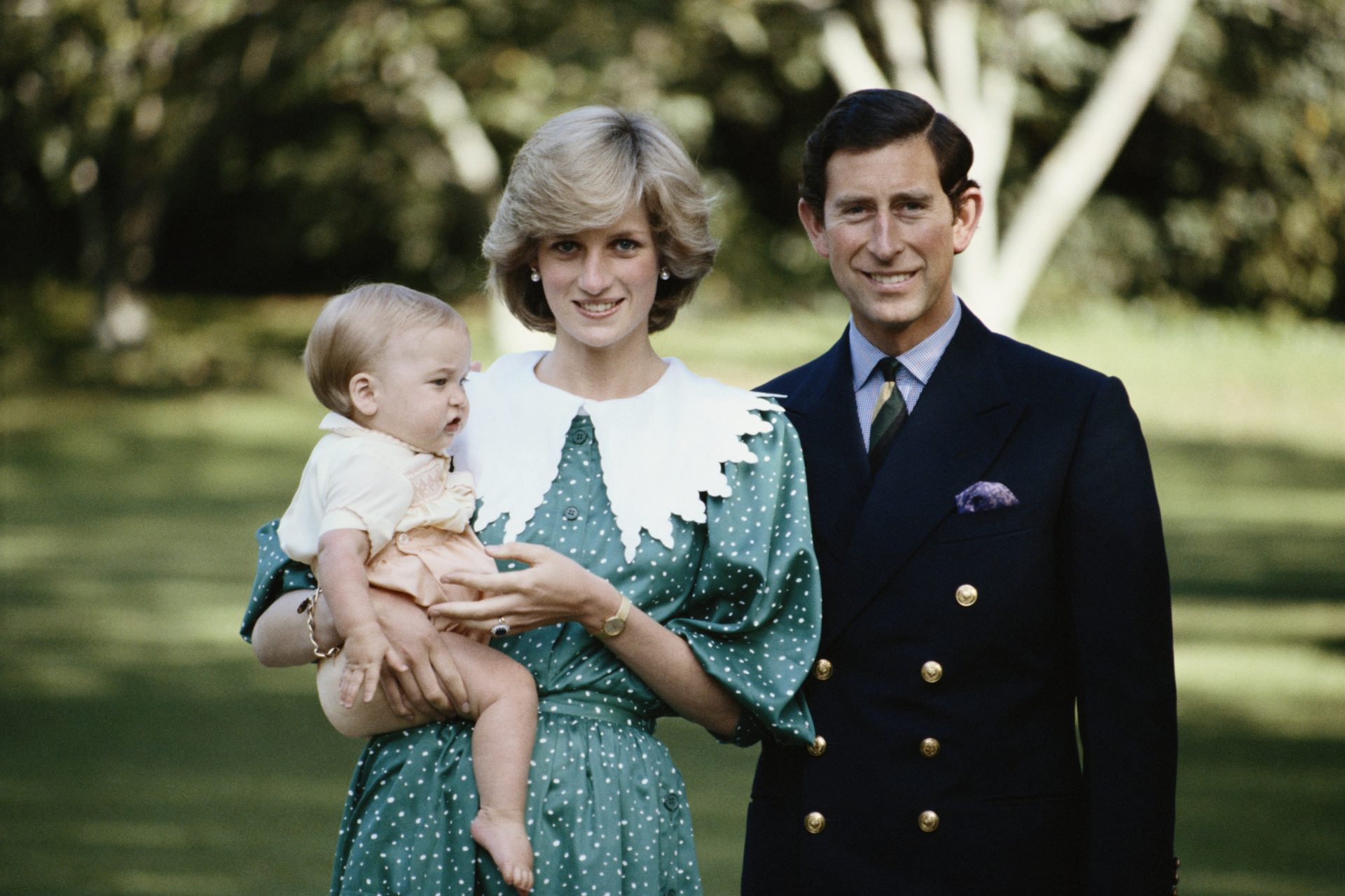 <p>Once every while, European princes, dukes, duchesses, kings, and queens visit New Zealand. Many remembered a visit of Princess Diana and the former Prince of Wales, Charles in 1983. They brought the young Prince William with them.</p>