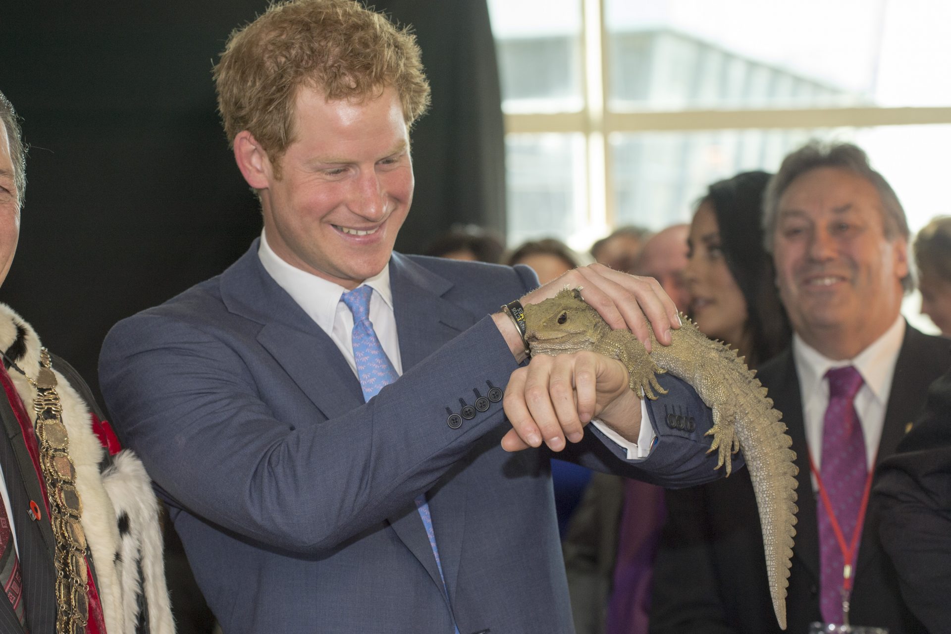 <p>For example, when Harry met Henry, the 100-year-old Tuatara lizard.</p>