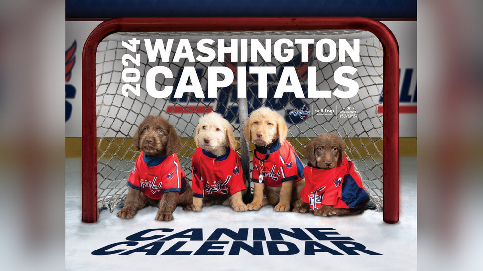 washington-capitals-release-adorable-2024-caps-canine-calendar-for-charity
