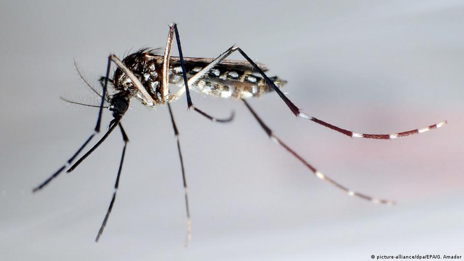 capital de cabo verde com 12 casos confirmados de dengue