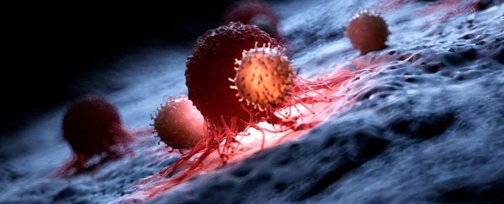 scientists find 'kill switch' that activates cancer cell death in the lab