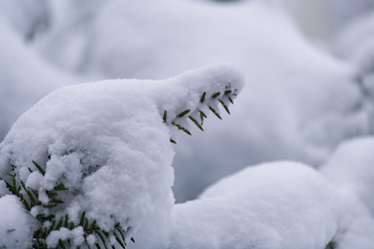 First wallop of winter weather in 2024 expected Sunday in Nova Scotia