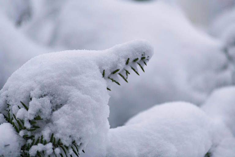 First wallop of winter weather in 2024 arrives in Nova Scotia