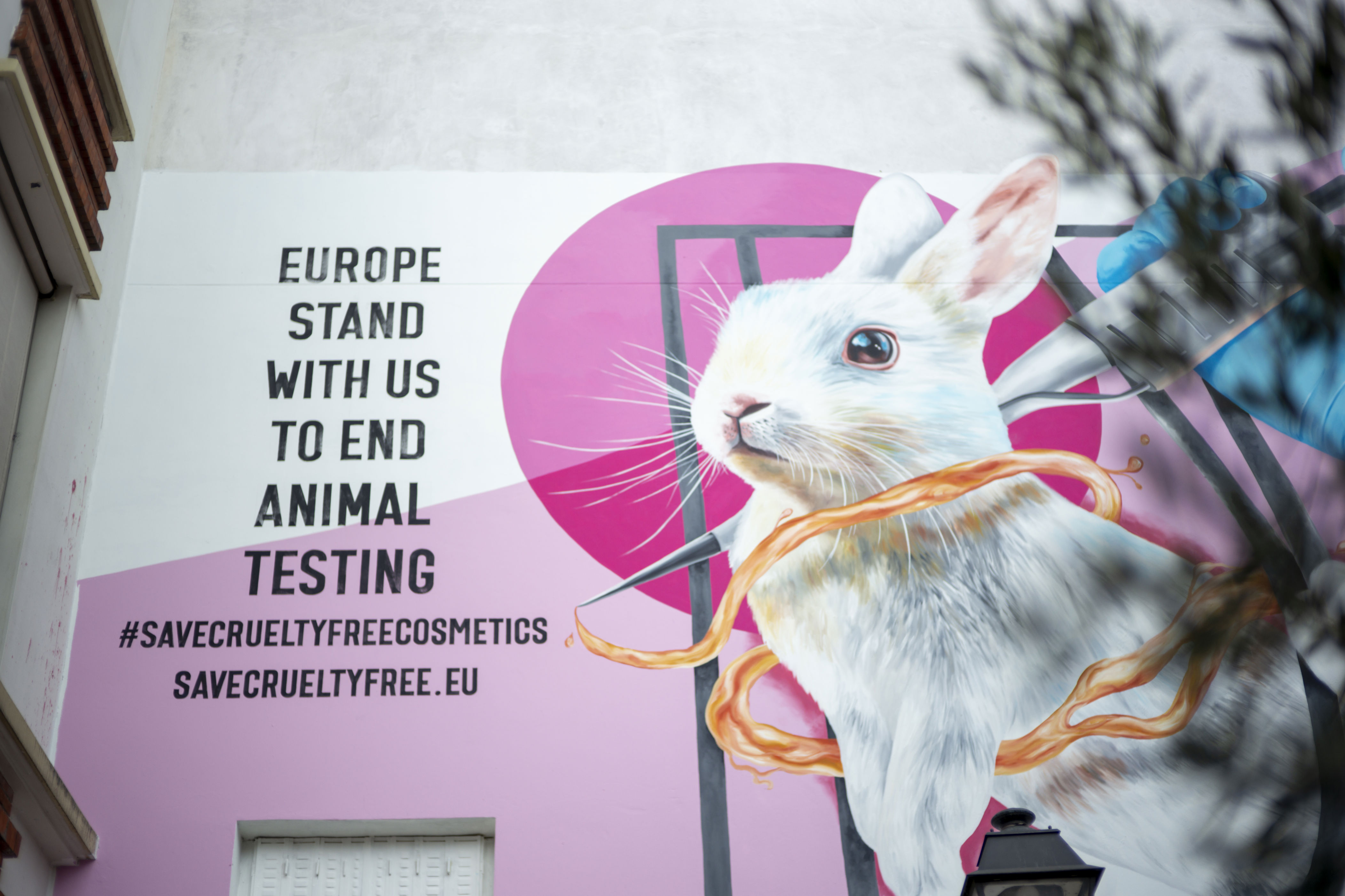 Animal Testing Ban For Cosmetics Loses Ground In Europe   AA1kpSLr.img