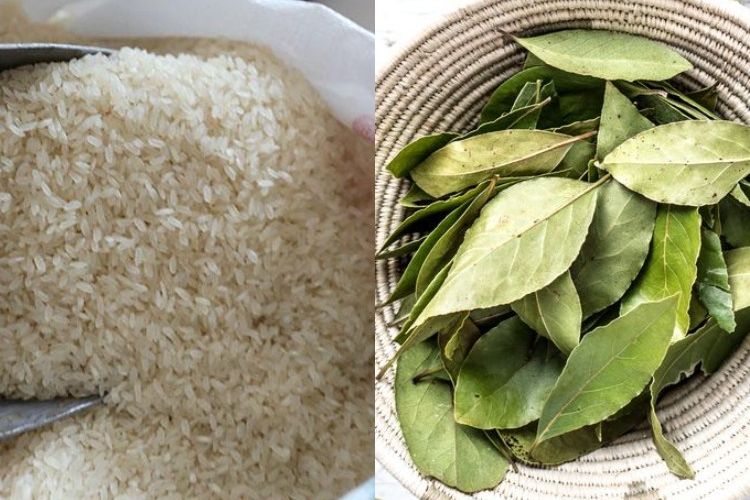 setelah beli dari pasar, coba masukkan setangkai daun salam ke karung beras, seisi rumah pasti takjub setiap lihat rice cooker