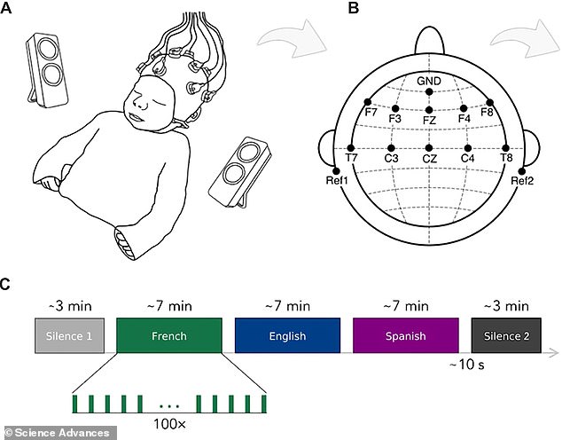 For the study, 33 newborn babies with native French-speaking mothers were monitored using encephalography (EEG)