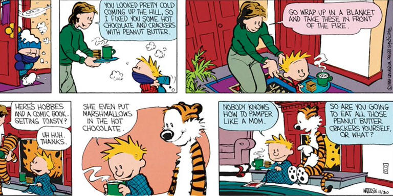 Best Calvins Mom Strips In Calvin And Hobbes Ranked