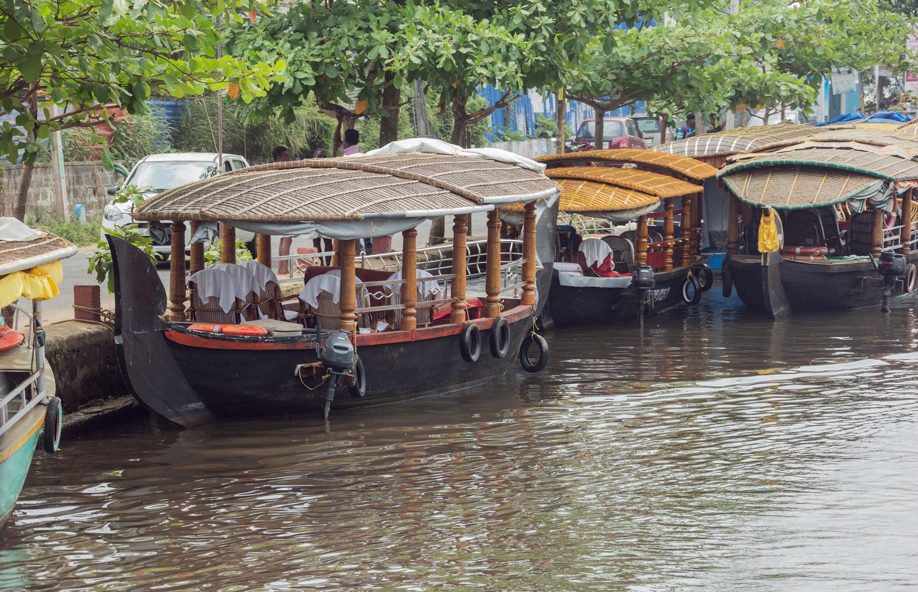 <p>Visit the main hub of Alleppey in the morning and you'll see hundreds of <em>kettuvallam</em> (thatch-roofed riceboats) chugging along to drop off and pick up passengers. The increasingly congested waters have become heavily polluted by spilled fuel and sadly the sight of boat workers throwing litter into the water is not an uncommon one. </p>  <p><a href="https://www.loveexploring.com/galleries/159756/destinations-which-dont-want-tourists-forbidden-city-rome-italy?page=1"><strong>These destinations don't want tourists to visit. Here's why</strong></a></p>