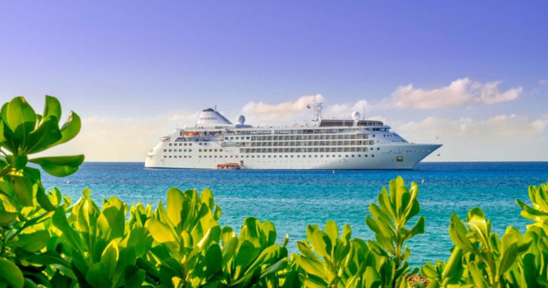 10 Luxury Cruise Lines, Ranked By Passenger Review