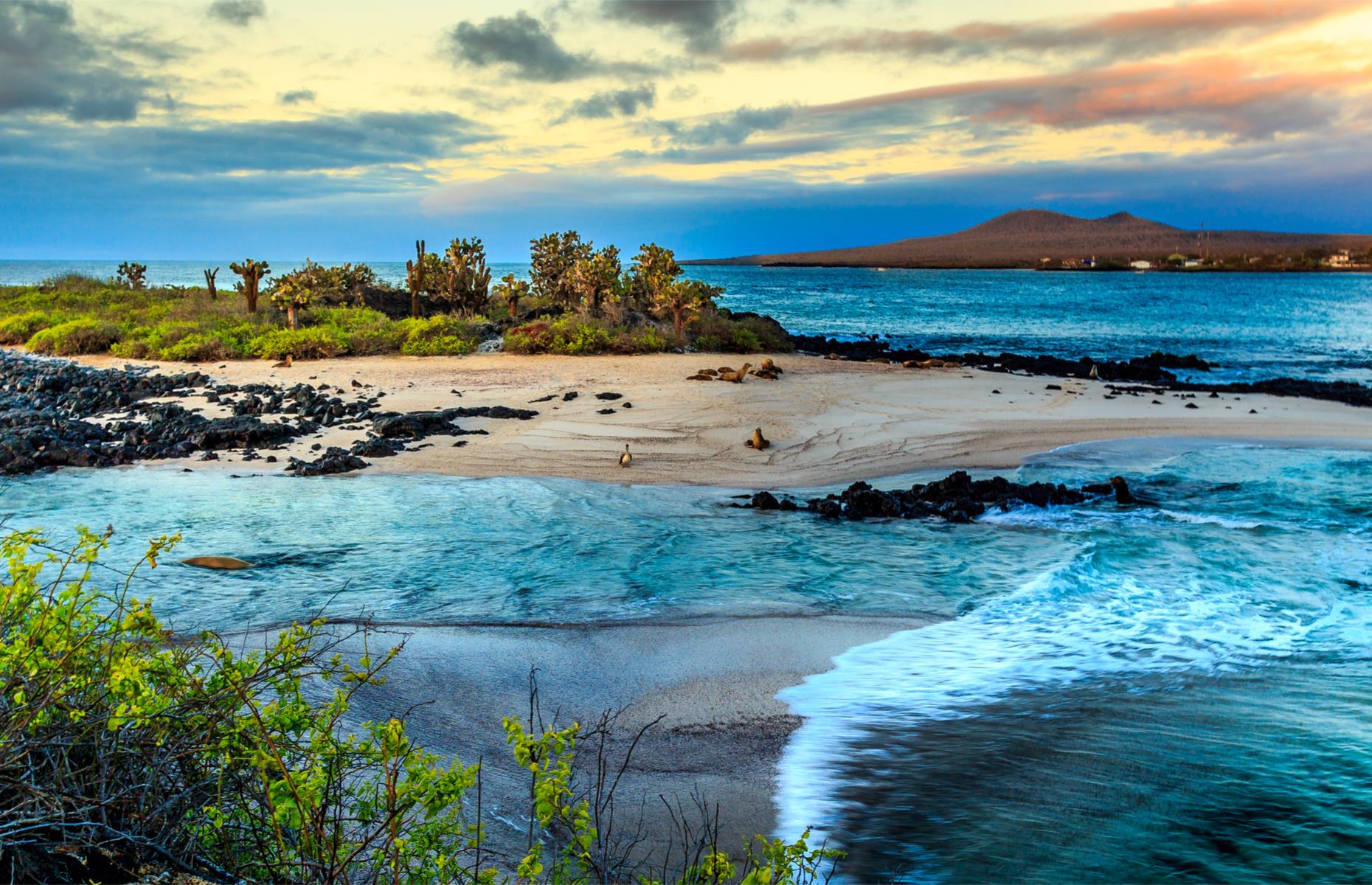 <p>Once a remote and isolated archipelago, the Galápagos have experienced a boom in tourism with people desperate to see their natural wonders. There were 1,000 tourists per year in the 1960s, when tourism first began, which swelled to more than 260,000 in 2022. There are major concerns about the impact on the once-pristine environment. So much so that they were listed as an endangered UNESCO World Heritage Site in 2007 due in part to the impact of tourism. </p>