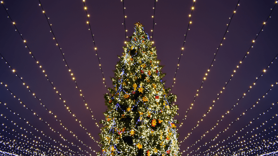 World’s tallest Christmas tree to be unveiled in Desoto Parish