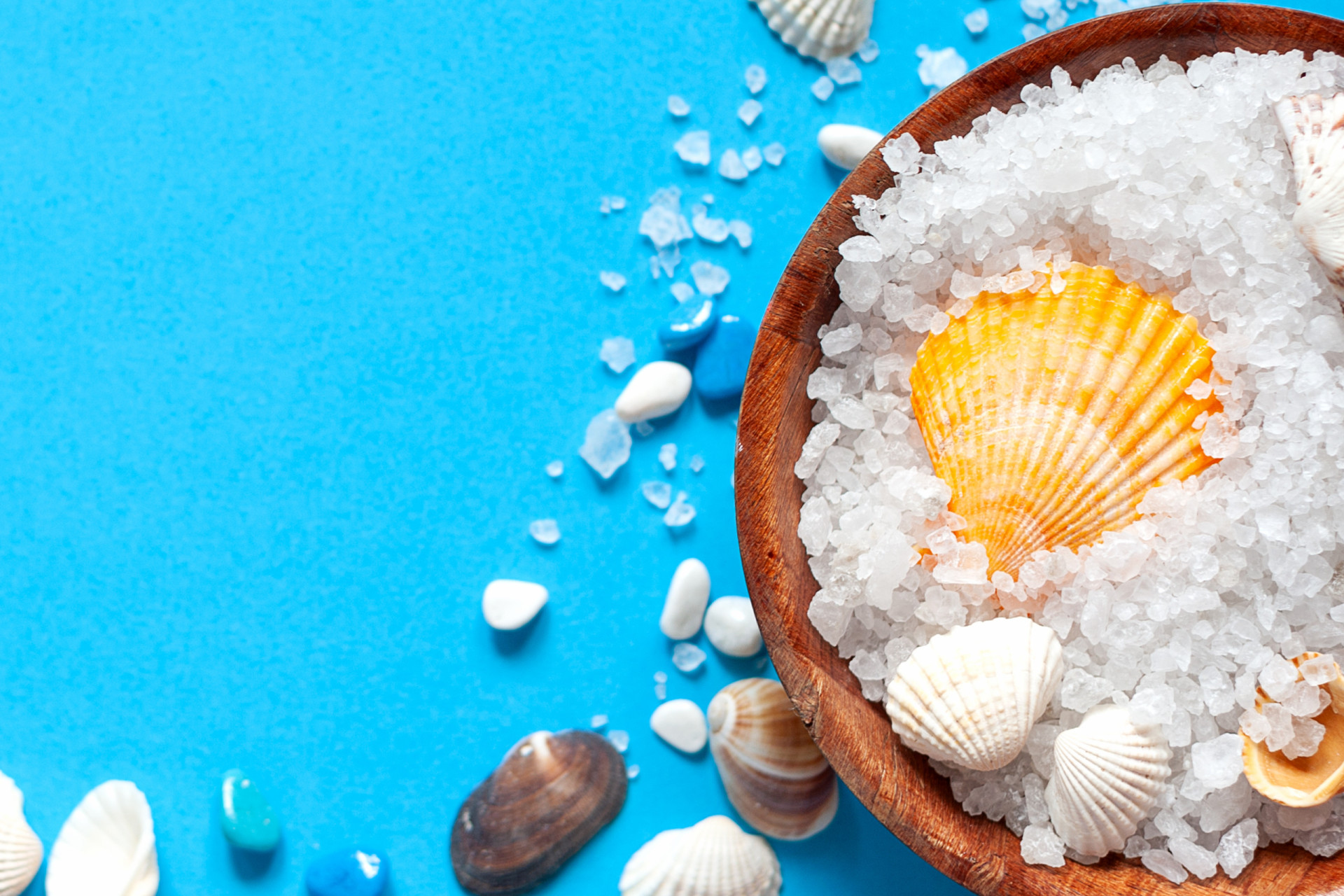 Squid ink flavor, facts, and culinary uses